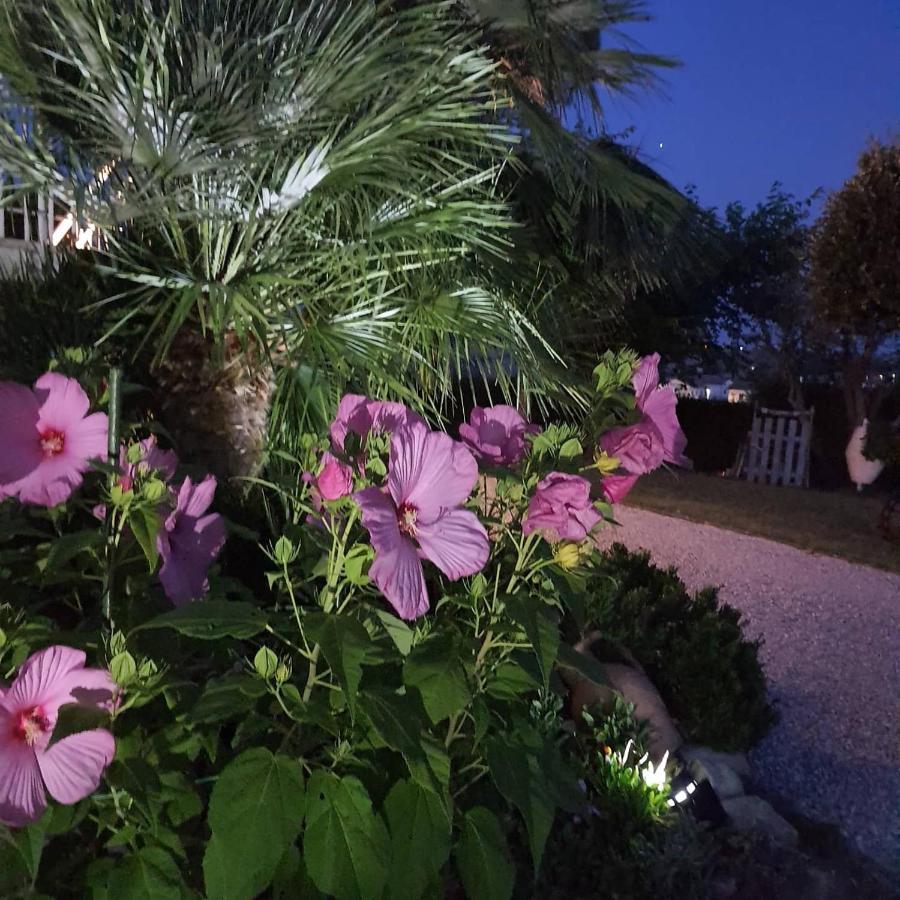 Bnb Fano Collina. La Pace Di Una Vacanza Piagge 외부 사진