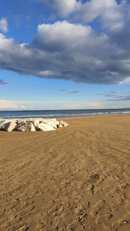 Bnb Fano Collina. La Pace Di Una Vacanza Piagge 외부 사진