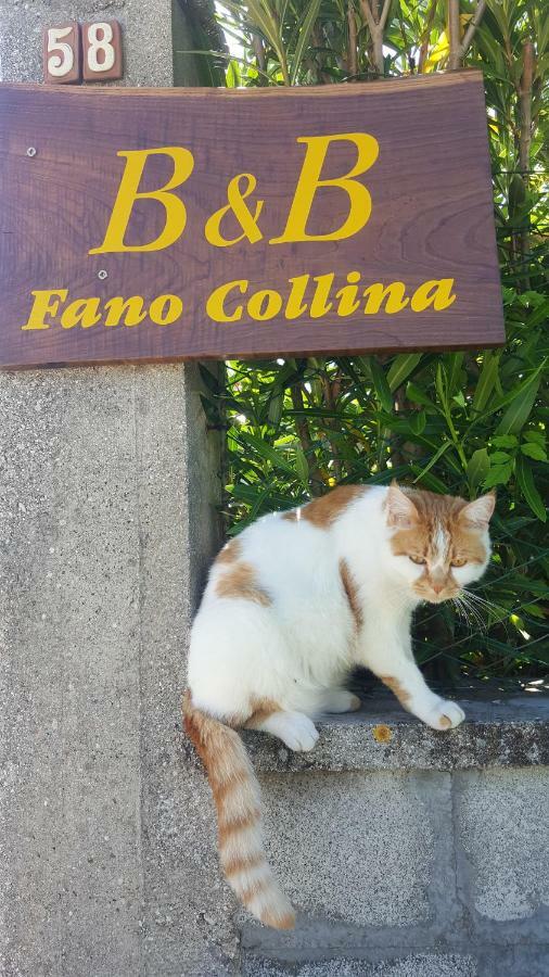 Bnb Fano Collina. La Pace Di Una Vacanza Piagge 외부 사진