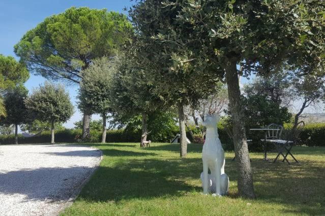 Bnb Fano Collina. La Pace Di Una Vacanza Piagge 외부 사진
