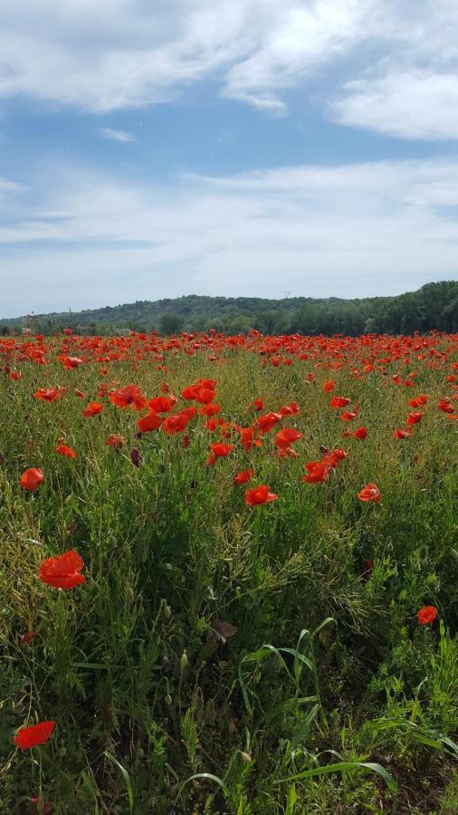 Bnb Fano Collina. La Pace Di Una Vacanza Piagge 외부 사진