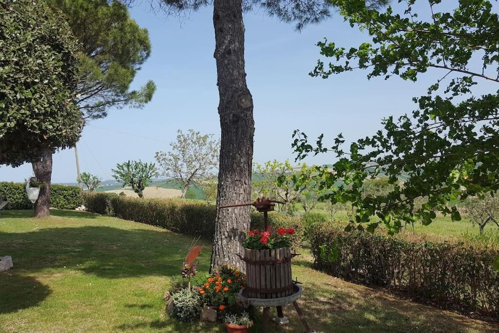 Bnb Fano Collina. La Pace Di Una Vacanza Piagge 외부 사진