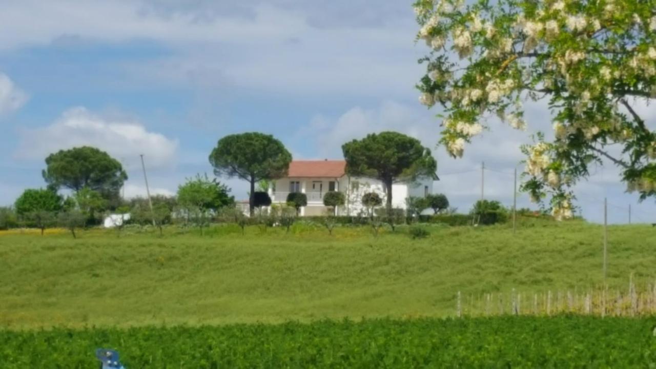 Bnb Fano Collina. La Pace Di Una Vacanza Piagge 외부 사진