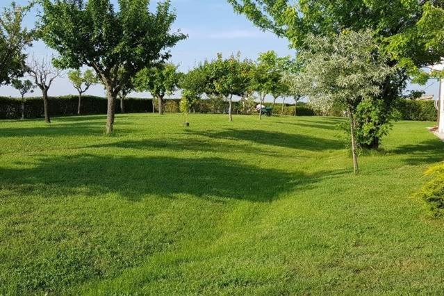 Bnb Fano Collina. La Pace Di Una Vacanza Piagge 외부 사진